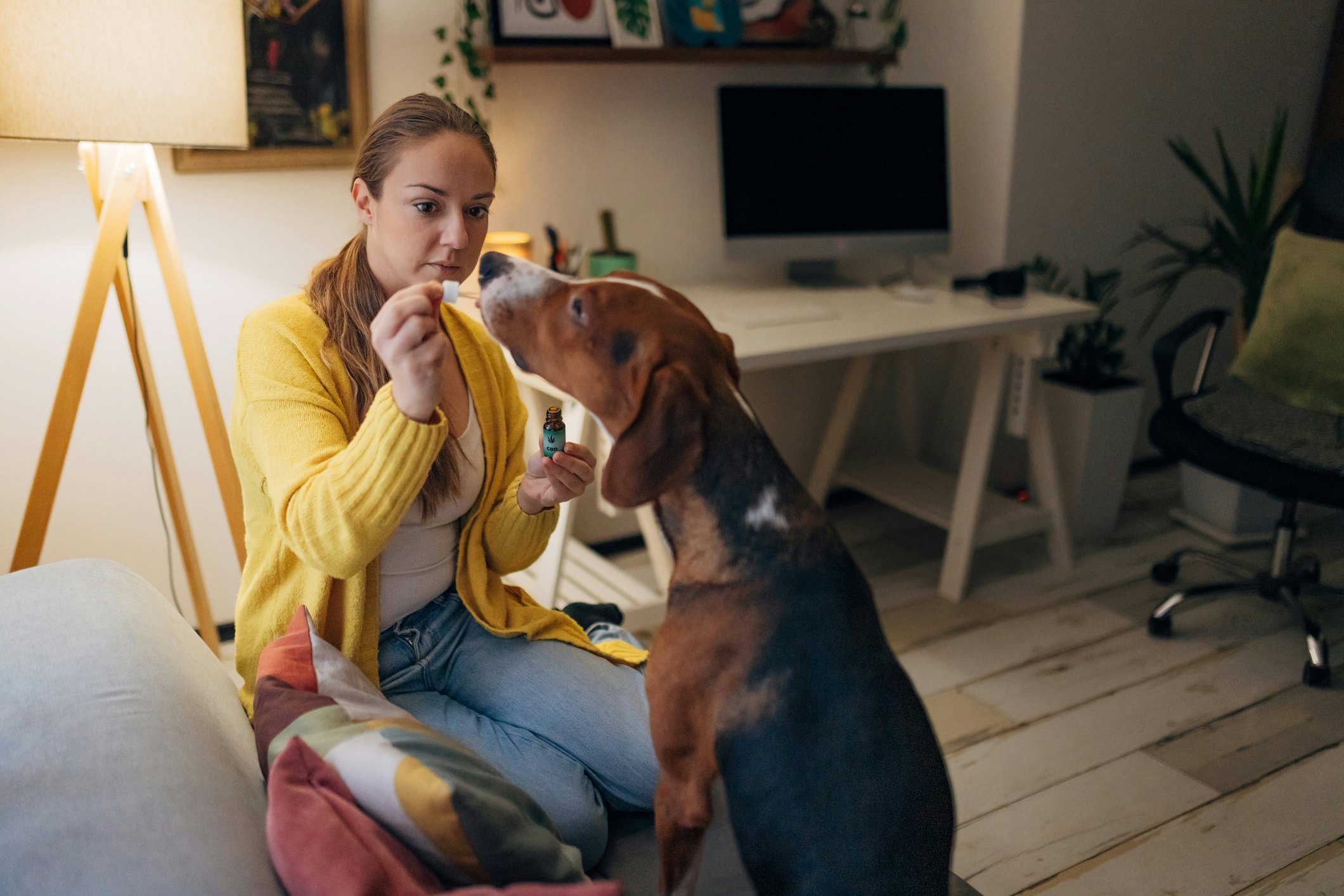 what-a-vet-really-wants-you-to-know-about-those-trendy-cbd-products-for-pets